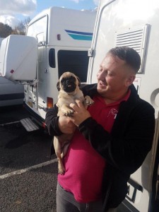 transport-catei-pug (2) 