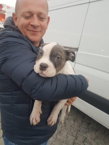 transport-catei-staffordshire 