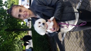 1-transport-bichon-2016-29-iunie