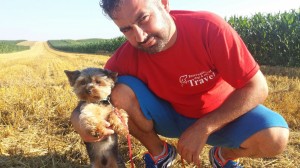 1-transport-shitzu-29-iunie-2016-anglia