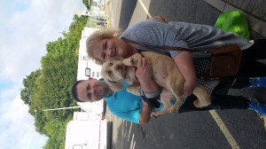 2-transport-catel-iunie-29-uk-2016