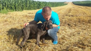 4-transport-catel-29-iunie-2016-uk