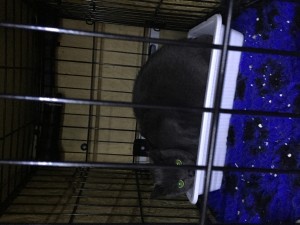 IMG_4508     