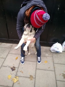 transport-buldog-englez-uk-2015-octombrie