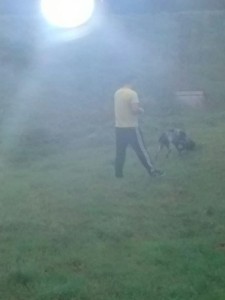 transport-caine-2015-octombrie-germania