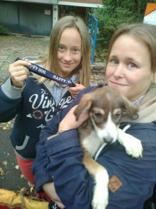 transport-caine-ocrombrie-wiena-2015