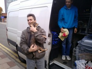 transport-caine-uk-2015-octombrie