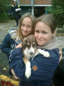 transport-uk-octombrie-2015-caine