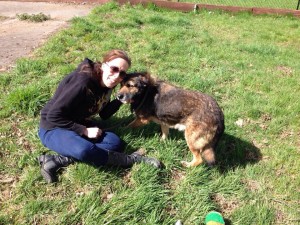 transport catei pisici germania anglia 15-04-2015 (42) 