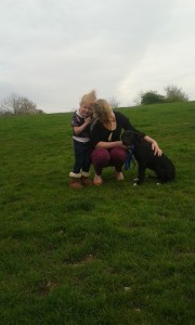 transport catei pisici germania anglia 15-04-2015 (46) 