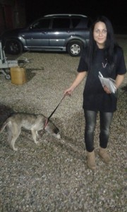 transport catei pisici germania anglia 15-04-2015 (60)    