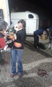 transport catei pisici germania anglia 15-04-2015 (70)     