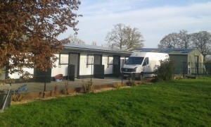 transport catei pisici germania anglia 15-04-2015 (78) 