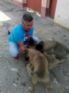 transport-2015-anglia-caine-august