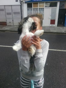 transport-2015-caine-august-uk