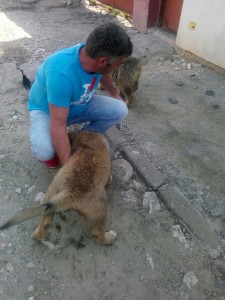 transport-2015-catel-anglia-august