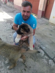 transport-anglia-2015-caine-august