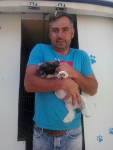 transport-anglia-catel-august-2015