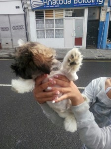 transport-august-2015-uk-catel