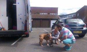 transport-buldog-anglia-august-2015