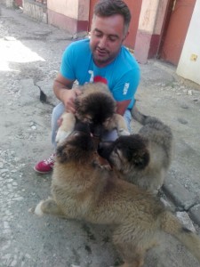 transport-catei-uk-august-2015