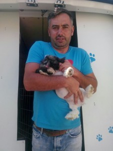 transport-catel--uk-august-2015