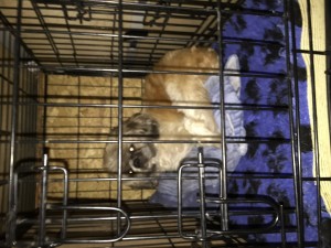 IMG_5069  