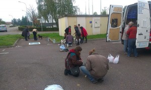 transport catei franta 26-10-2014  (3)