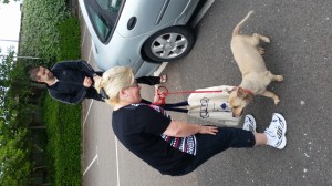 2-transport-caine-19-mai-2016-germania